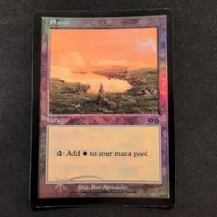 MTG 湿地の干潟【ボーダーレス英語版】SPG - メルカリ