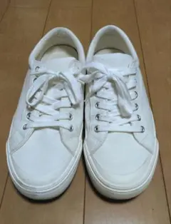 GUキャンバススニーカー24cm