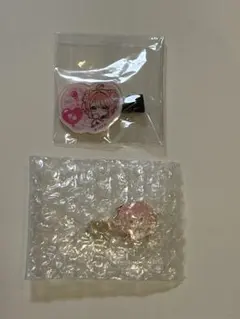 からぴち夏休み＊東京ドームシティ＊のあさん♡ヘアクリップ、メタルクリップ　2点