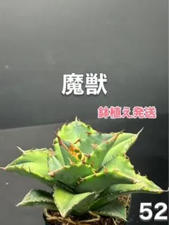 ▫️セカンドメル▫️新品中古販売様 リクエスト 4点 まとめ商品