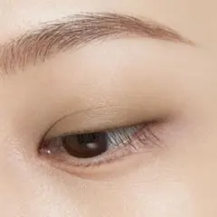 エテュセ アイエディション （カラーパレット） 05. オリーブブラウン