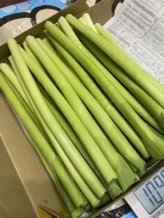 にんにく茎　葉ニンニクの茎 1kgのサムネイル