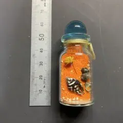 ボトル オレンジ砂　貝殻　花