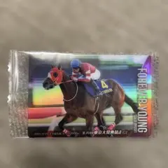 フォーエバーヤング　サラブレッドホースコレクション第3R