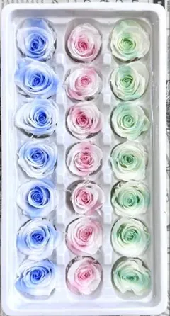 プリザーブドフラワー 2.5-3cm 21輪 バラ セブンカラー - メルカリ