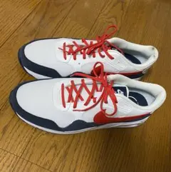 NIKE ナイキ エアマックス 28cm  cw4555-103