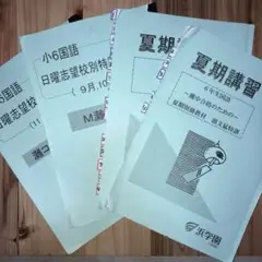 値下げ　浜学園 小6 国語 日曜志望校別特訓 夏期講習 M灘　国語　9〜11