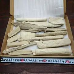 流木セットno.192