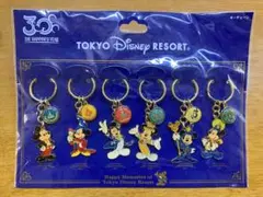 ディズニーリゾート　30周年　歴代ミッキー　キーチェーンセット