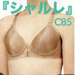 2025年最新】シャルレブラジャーの人気アイテム - メルカリ