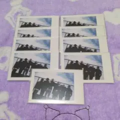 大幅お値下げ中‼️ いれいす　実写チェキ　全員集合