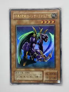 2025年最新】漆黒の豹戦士パンサーウォリアーの人気アイテム