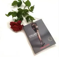 タイツ ストッキング