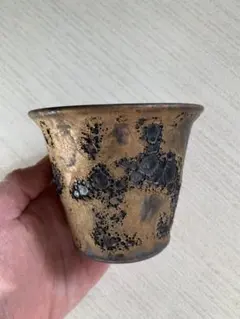 中川智治 鉢 塊根植物 コーデックス用【新品未使用】 陶芸家「中川智治」さんの人気鉢が入荷しました！ 中川さん独自の発泡
