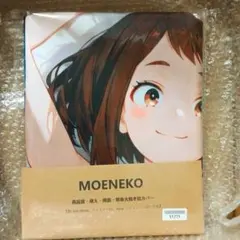 枕カバー　160x50cm