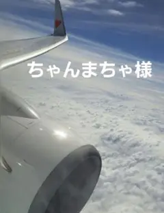 ちゃんまちゃ様