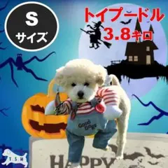 【まーくん様】犬用チャッキーコスチューム 【S】 コスプレ衣装 ペット服 ペット