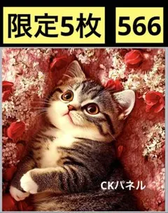 限定5枚　レアパネル生地　新柄　猫パネル生地