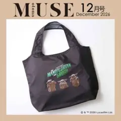 オトナミューズ12月号BEAUTY&YOUTH UNITED ARROWSバッグ