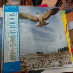 高中正義 Seychelles LP 初回生産限定盤 アナログ レコード - メルカリ