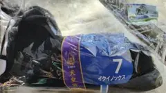 タイトー くじ 一番くじ HORSE HEROS 競馬 馬 ぬいぐるみ