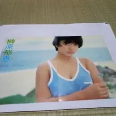 送料込 榊原郁恵 キリヌキ 7P 水着のサムネイル