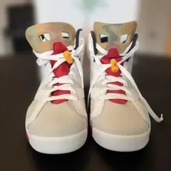 NIKE AIR JORDAN 6 RETRO ナイキ エアジョーダン6