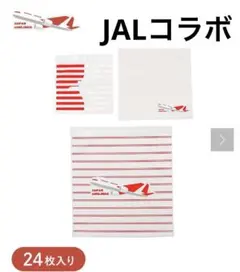 は(2/4〜7,15〜19発送×)様 リクエスト 2点 まとめ商品