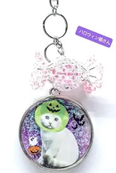 【 431 】ハロウィン猫さんのキーホルダー・バッグチャーム ゜。*