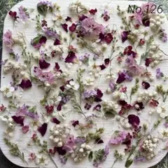 No,126 特小小花ミックス　ドライフラワー花材
