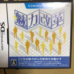 ビズ能力DSシリーズ 魅力改革