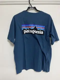 【海外正規店購入】最終値下げバックプリントTシャツ／patagoniaのサムネイル