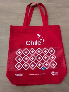 【Exclusive超激レア】非売品万博2025USAパビリオン記念 大阪・関西万博 シグネチャーパビリオン「null²」, NOIZ / 2025