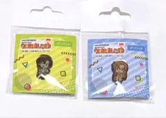 名探偵コナン コナンランドピンバッジ♪萩原千速&萩原研二セット！