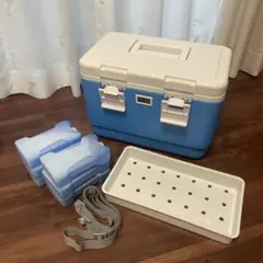 Item thumbnail for item 8addb33e-69a7-4a4b-b4a1-45e11f960c03