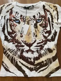 Item thumbnail for item 9ca922fc-fcf5-45fc-bda1-5bf213eaa940