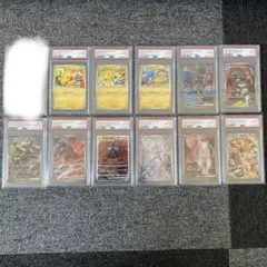 シロナのガブリアスex他…11枚 ポケモンカード(PSA10)まとめ売り 完美品