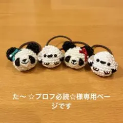 た〜 ☆プロフ必読☆様専用ページです