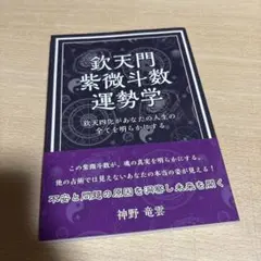 欽天四化紫斗数の世界 増補版 欽天四化紫微斗数の世界-己事究明の人間学- (初版のみ