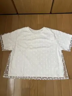 Item thumbnail for item 8a7d4b6d-8baf-4719-b8e2-e86ded18aab5