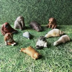 Item thumbnail for item ea8d6d88-9e5e-4077-9094-e551204da87b