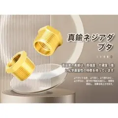 【新品】TAILONZ PNEUMATIC 5個 真鍮 六角形 袖 管付属品