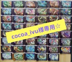 cocoa_ivu様専用☆
