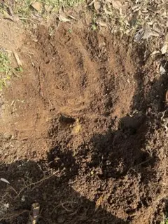 きんこ様専用ページです。お申し込みされて無い方のお買い上げはご遠慮願います。