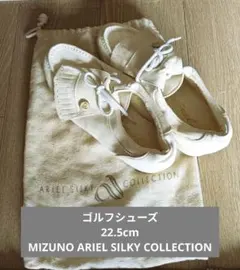 Item thumbnail for item 2b3d0a54-c53c-46ce-b456-3c9d21611e97