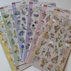 Item thumbnail for item 27adc258-2b8b-4f5a-9c89-ab69e91fe08c