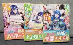 にゃんころ様 リクエスト 3点 まとめ商品