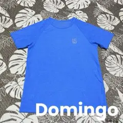 domingo