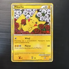 2025年最新】ポーランド ピカチュウの人気アイテム - メルカリ