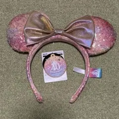 東京ディズニーランド　40周年カチューシャ